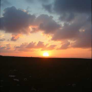 Everything Is Gonna Be OK