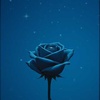Cover image for diamond  Ros  