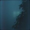 板桥的夜雨