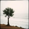 ἡ Ἐπιστροφὴ τῶν Ἀνέμων / The Return of the Winds / 风归之时