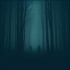 Echos of sorrow 