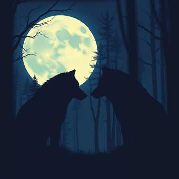 Duality Dance with Wolves