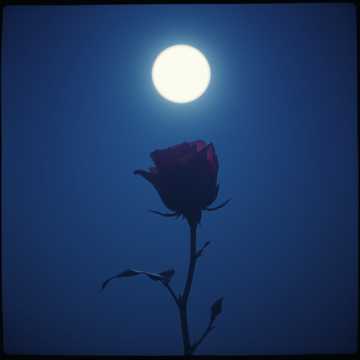 끝난 사랑 (이젠 안녕)Over Love (Now Goodbye)