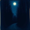 Find My Way Home
