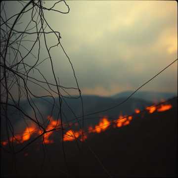 Tangled Up in Her Chaos