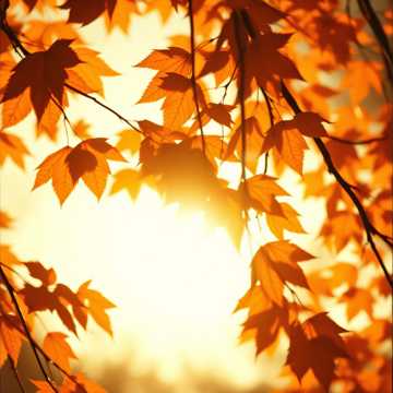 image for In The Fall (1)