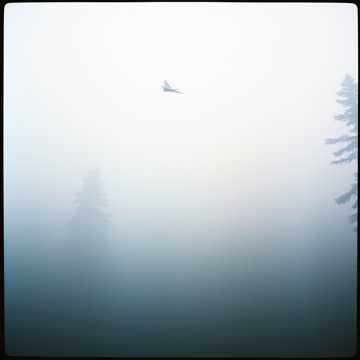 Ghosting Breadcrumbs