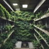 Vertical Gardens Rising