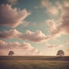 Cover image for No Wars in My Heart