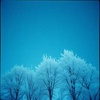 Cold Wind