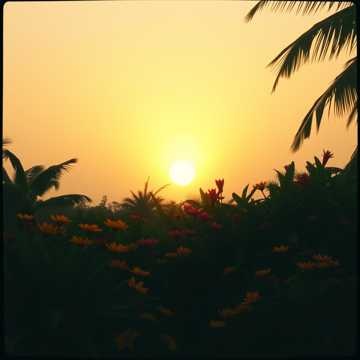 Playlist cover art