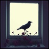 💔 Serenata a la Sombra... Full version