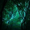Existential Data Points in Nature