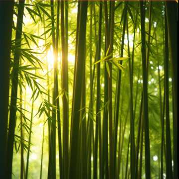 image for To the Core (9)