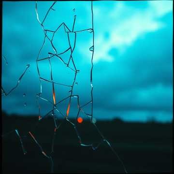 Image for Veins Of Glass