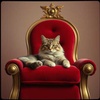 You Sat in My Spot