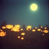 Moonlight Kisses