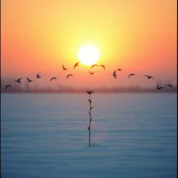 Arber, me ty çdo ditë