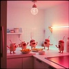 Midnight Snack Attack