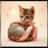 Tie Me Up with a Ribbon
