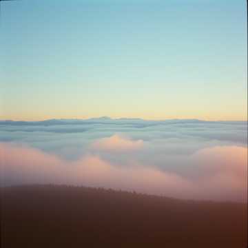 image for Whispers of Valor (6)