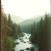 Cover image for Environmental Kin