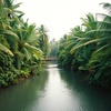Cover image for The River of Dreams