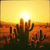 Cover image for Canicule