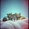 MEOW by EXAISTENCE