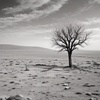 Shadows of Loneliness