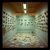 Museum of Apologies