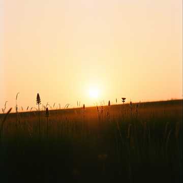 image for Cinematic Moments 14