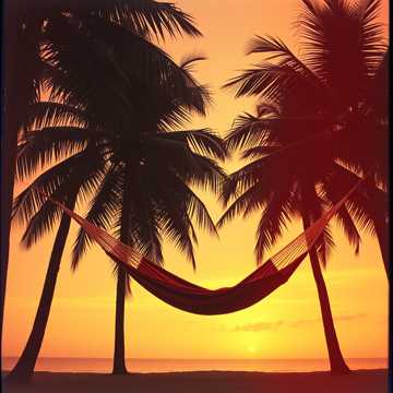 Island Dreamin'