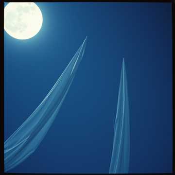 Whispers in the Dark