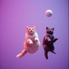 Lost At Space  (  Astral  Cat Experience  version ) - By Funkadystik