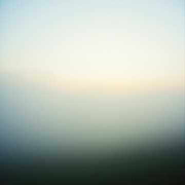 image for Dawns Quiet Guard (2)