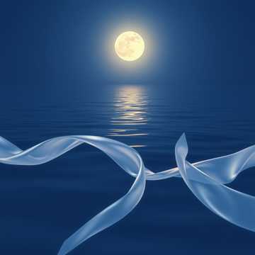 image for Soft Motion (22)