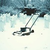 The Garden of Weeping Angels