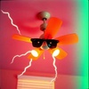 Get Your Hands Off My Ceiling Fan!