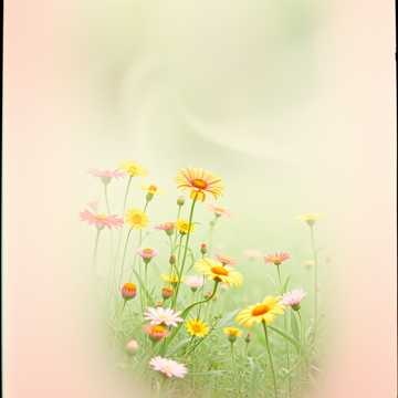 Image for සිගල්ස් හි ගීත