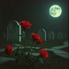Beautiful Corpse (Remix)