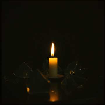 Numb doesn't love you pt 2