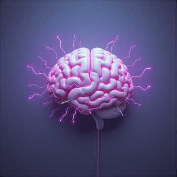 Cerebellum (True Indeed) Part 2