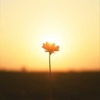 The One Who Teaches from Within