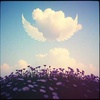 I Need Your Heaven