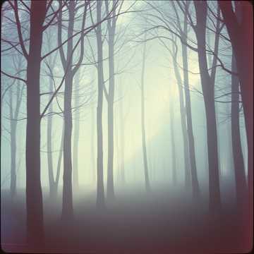 image for Eternal Watch (3)