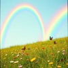 Cover image for Unter dem Regenbogen 