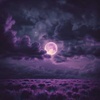 Cover image for We Belong to the Nightlords 