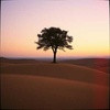 A Little Higher Ground (Remastered)