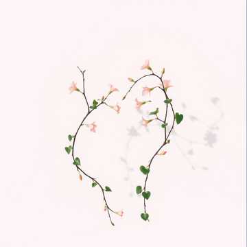 Today and Forever, I Do